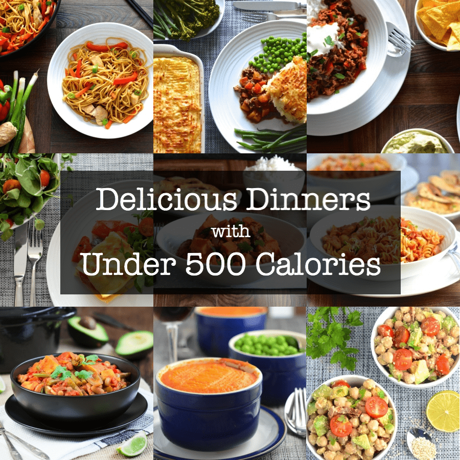 20+ Delicious Dinners with Under 500 Calories | Charlotte's Lively Kitchen