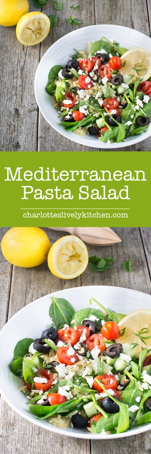 A quick and easy mediterranean pasta salad with a lemon and mint dressing.