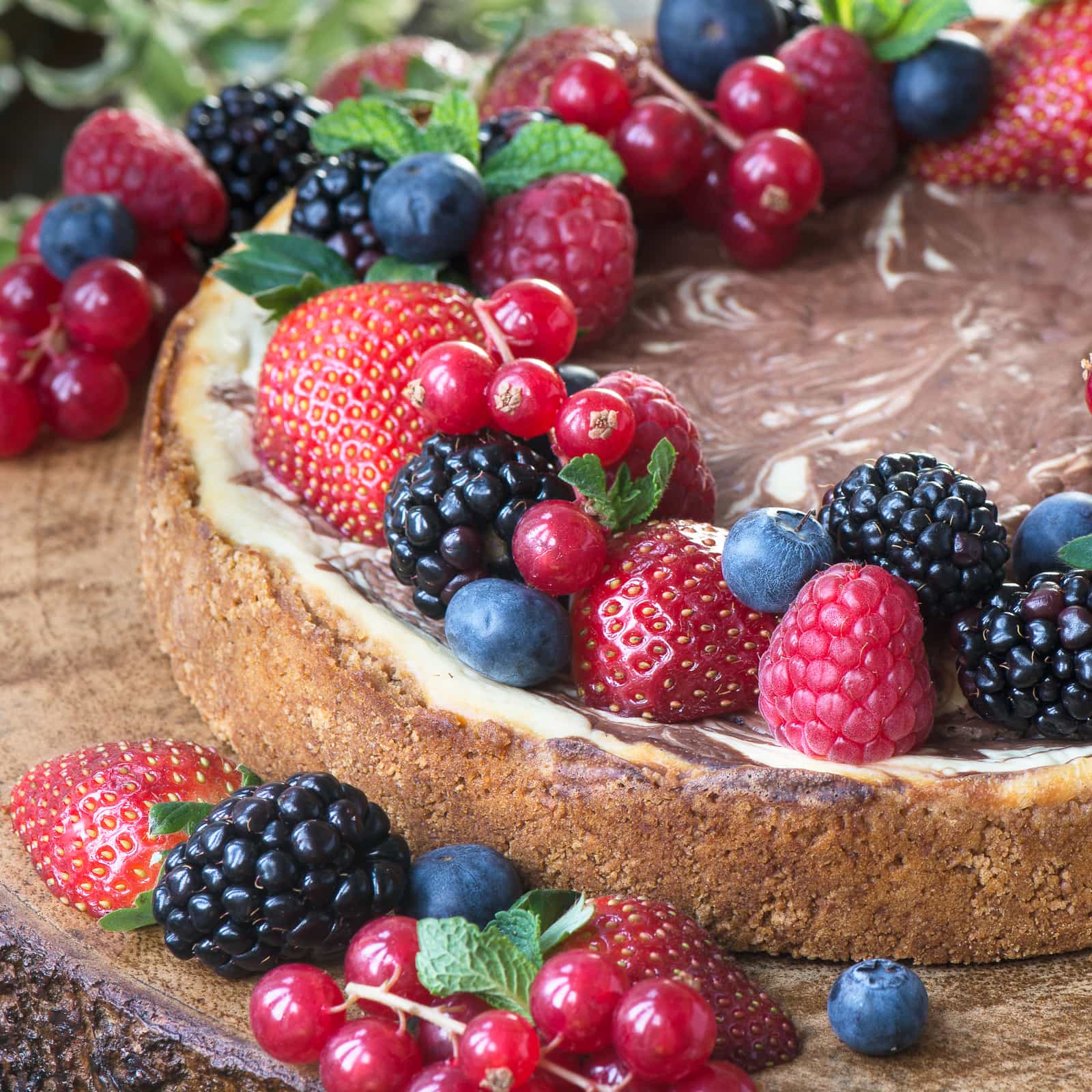 Baked chocolate marble cheesecake topped with fresh fruit.