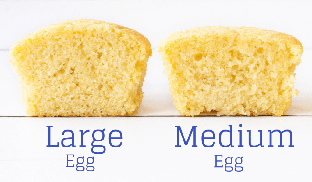 FAQ: Difference Between Large Eggs vs. X-Large Eggs?