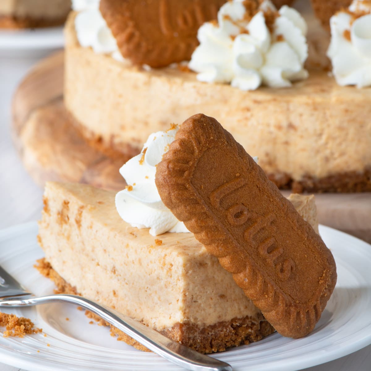 A slice of biscuit cheesecake served with a Biscoff biscuit.