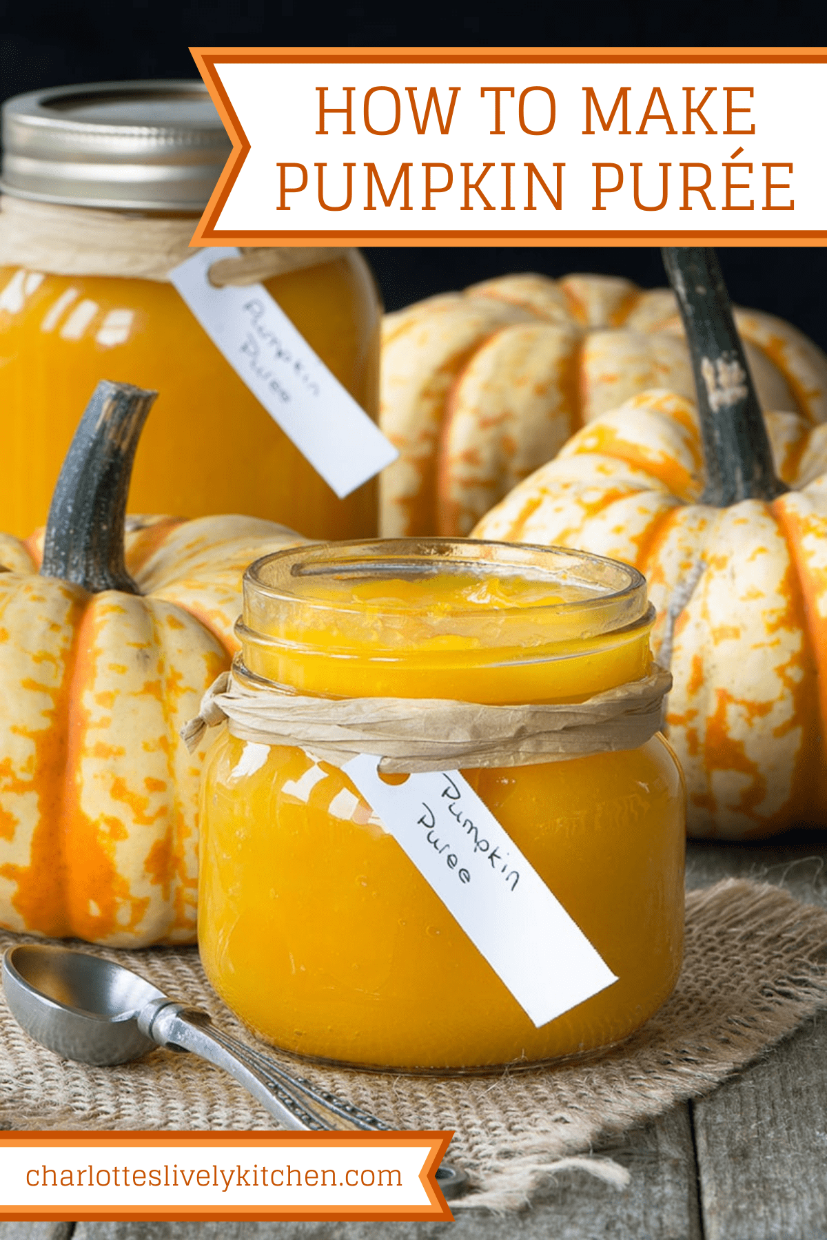 Pinterest graphic showing an open jar with a label filled with cooked pumpkin puree in front of a full sealed jar and some small pumpkins. The recipe title and website name are shown as text overlays. 